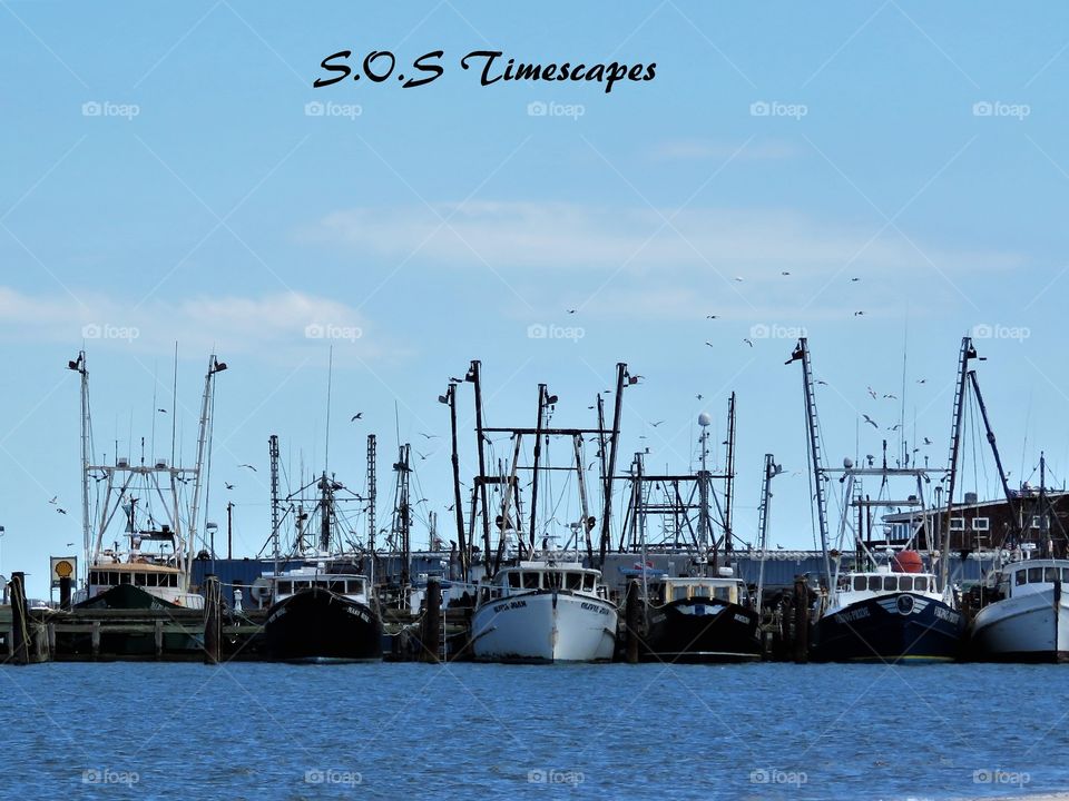 Shinnecock boat yard