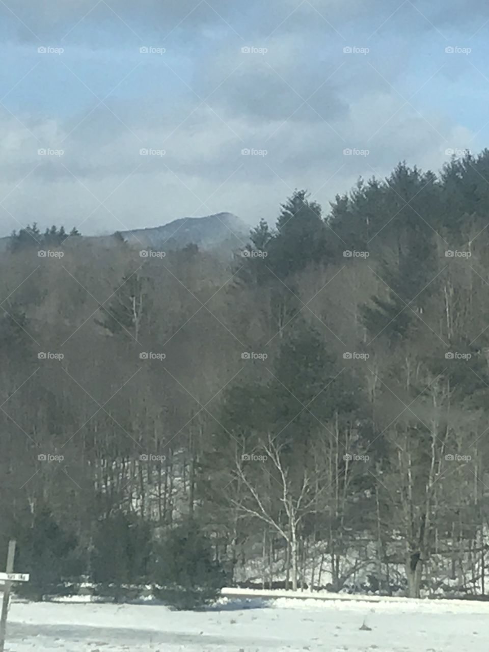 Sky Mt. in background