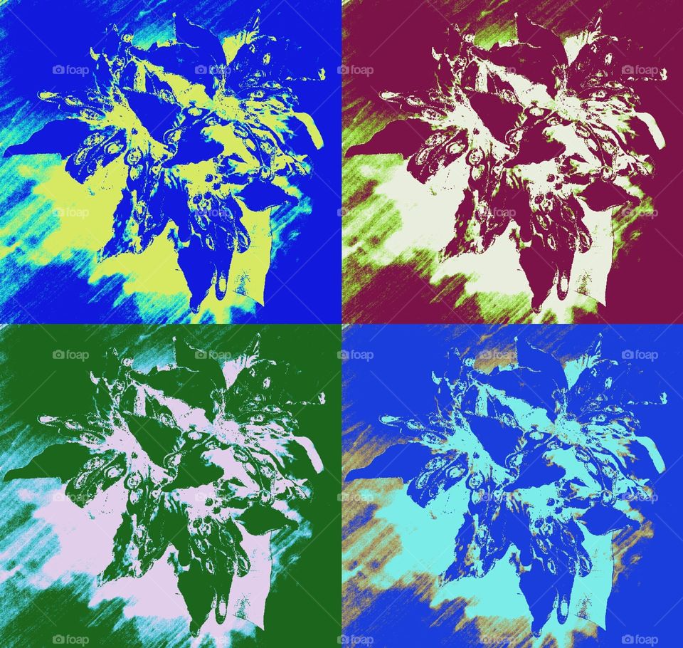 filters & effects applied