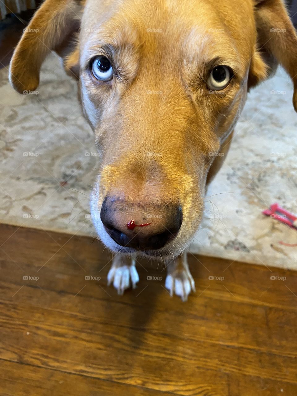 Mess with the cat see what happens 