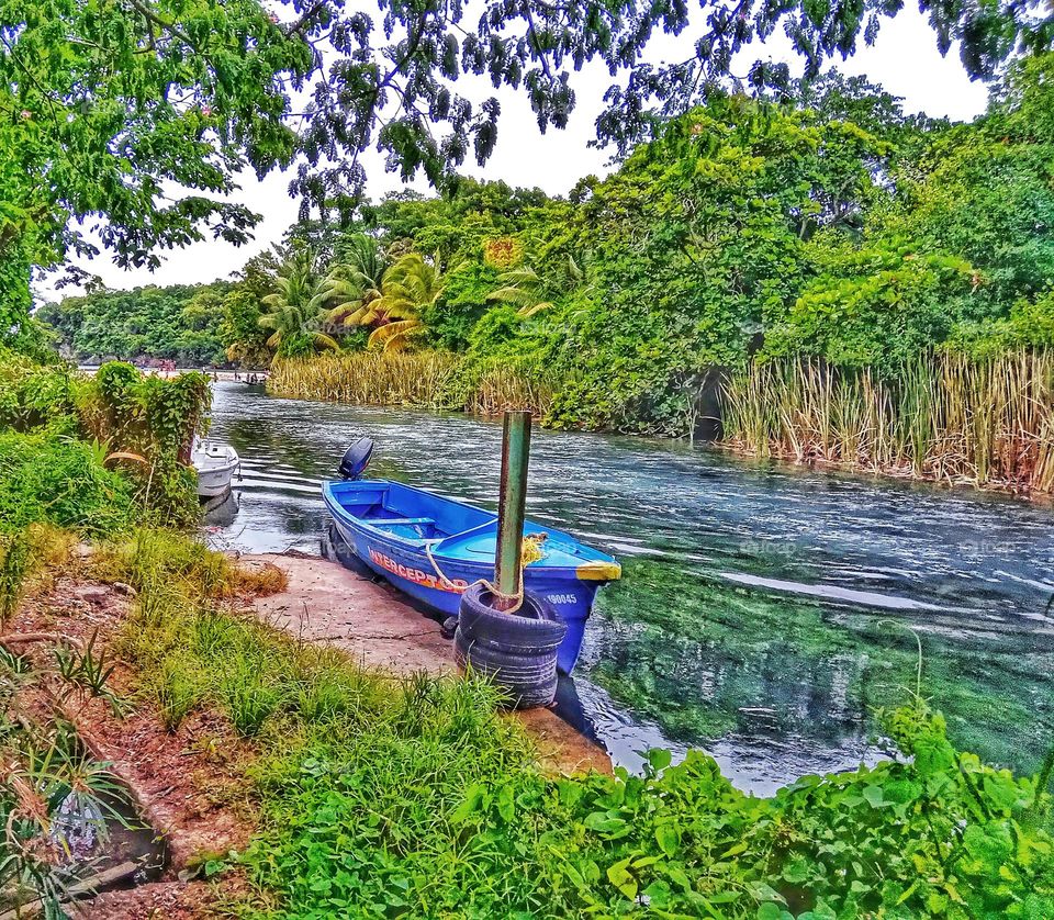 Boat in Tropical River with Trees around