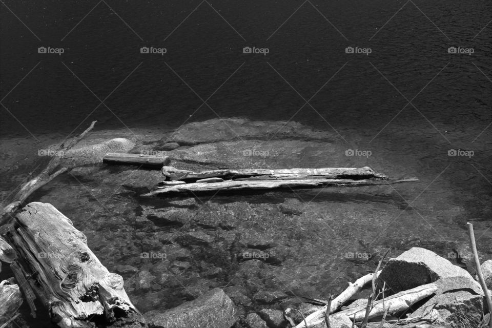 Black and White, logs on the water, Hetch Hetchy 3