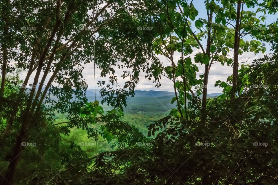 Beautiful view of lush green mountains and countryside through the trees in Chiang Mai, Thailand