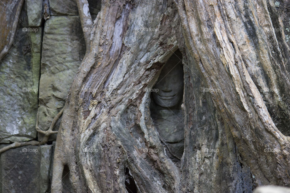 Hidden Smiling Buddha in Trees at Ta Prohm