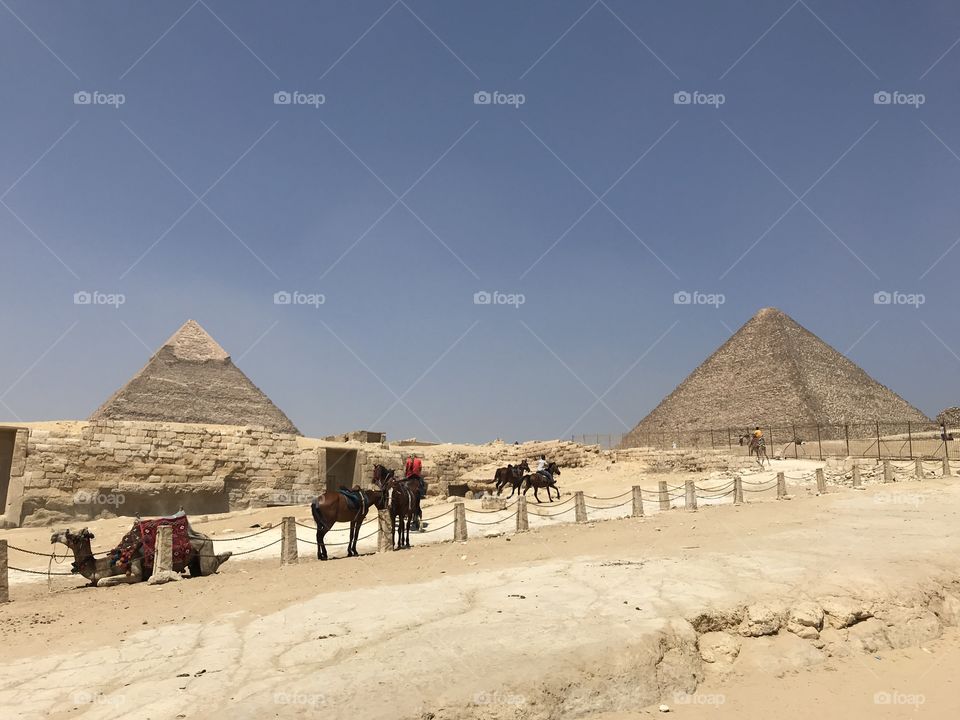 Pyramids in the Giza.