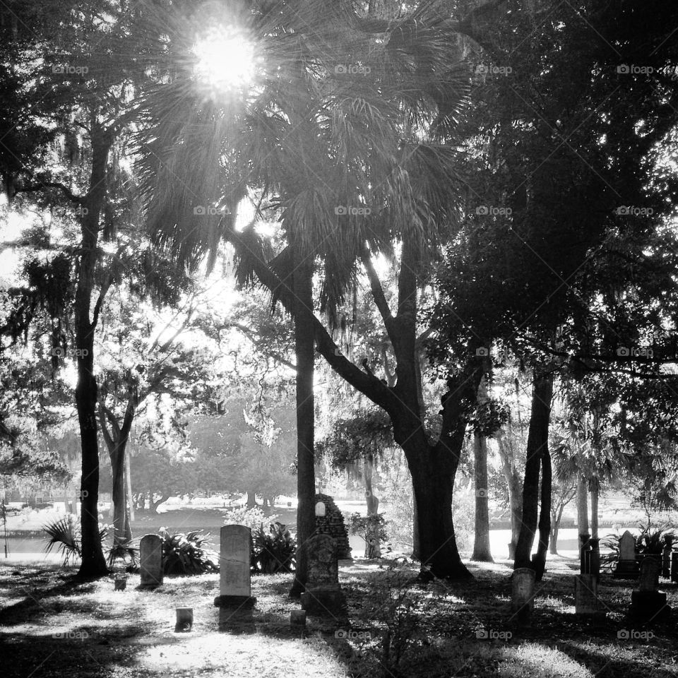 Florida graveyard. Tombstones at the Shrine of Our Lady of La Leche in St. Augustine, Florida