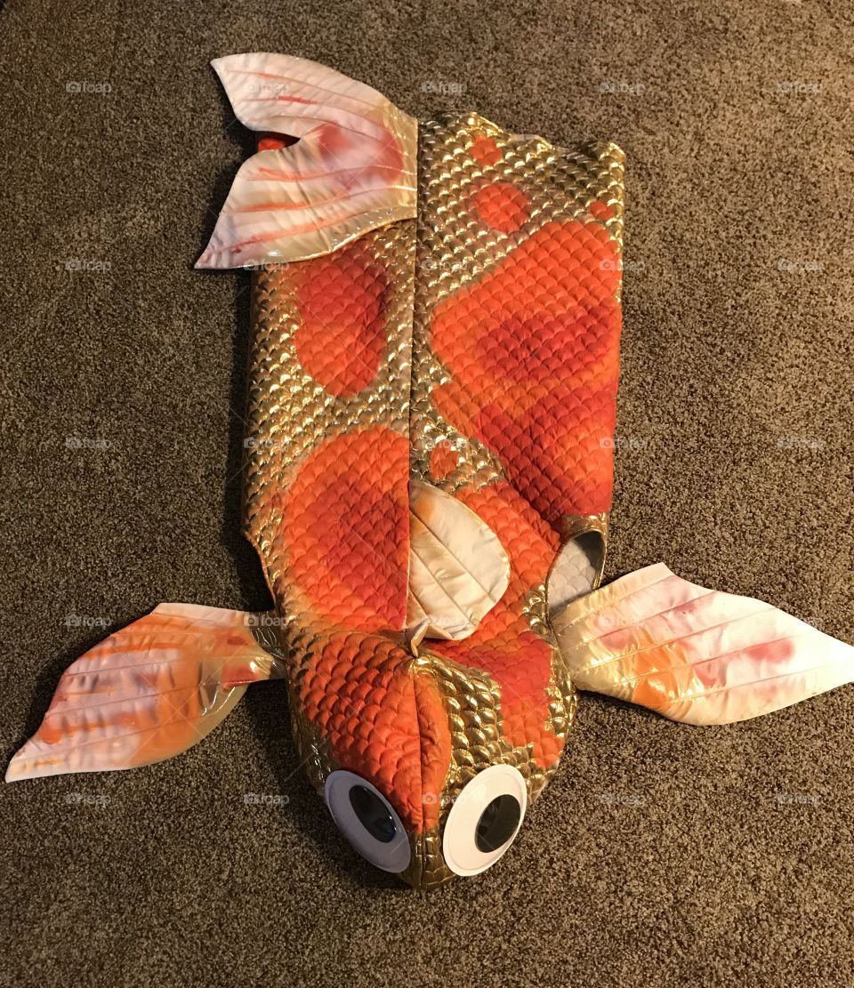 Hand made funny goggly eye koi fish Halloween costume  