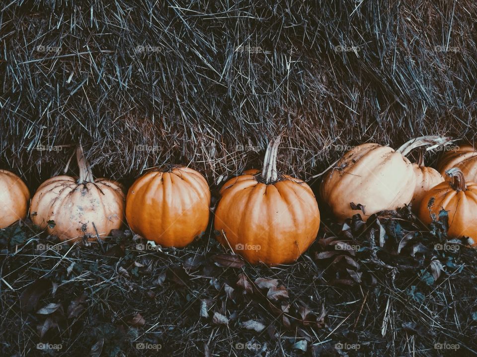 Pumpkins