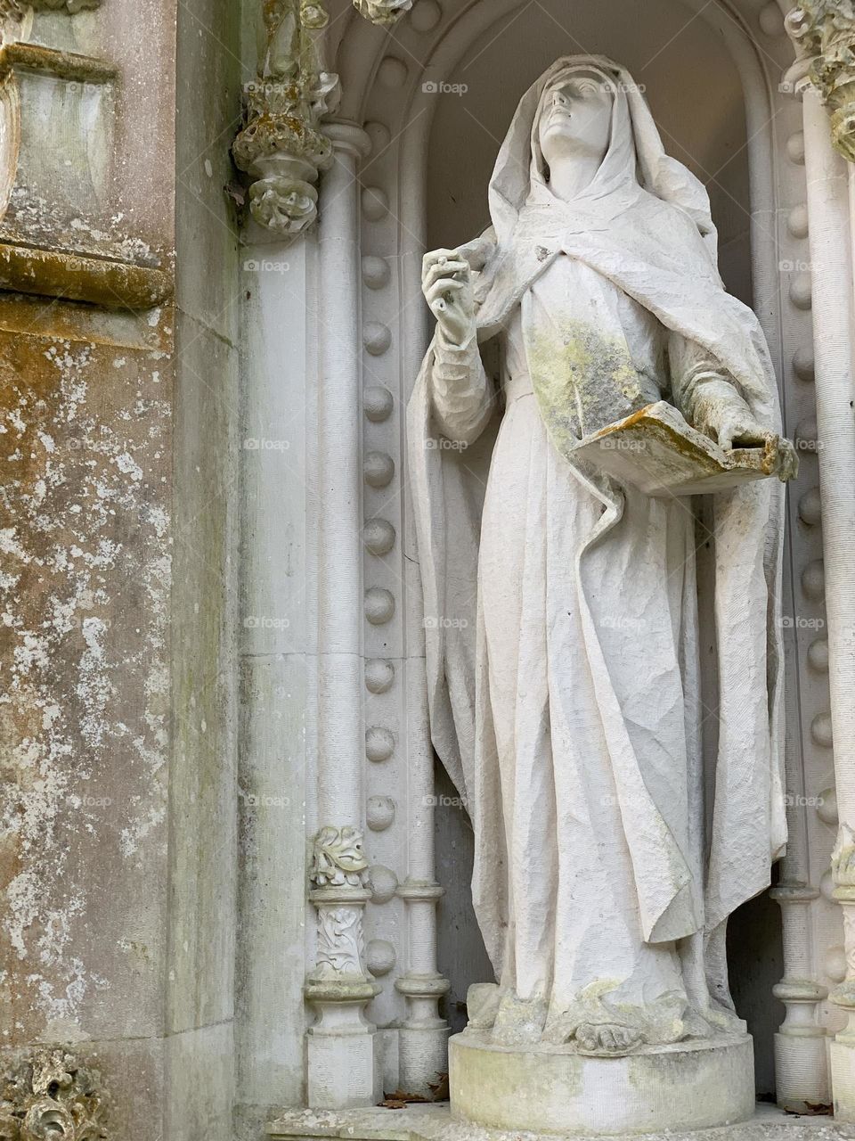 The photo of mother Mary looking up at the sky 
