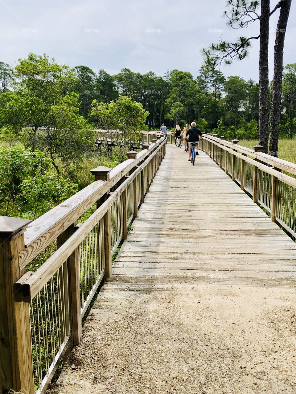 Four adults riding bicycles on wooden bridge through nature preserve 