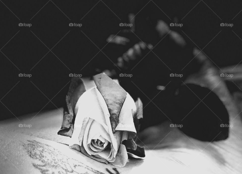 Black and white memory rose 🥀