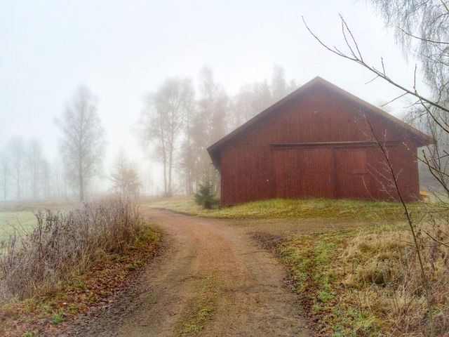 Foggy morning