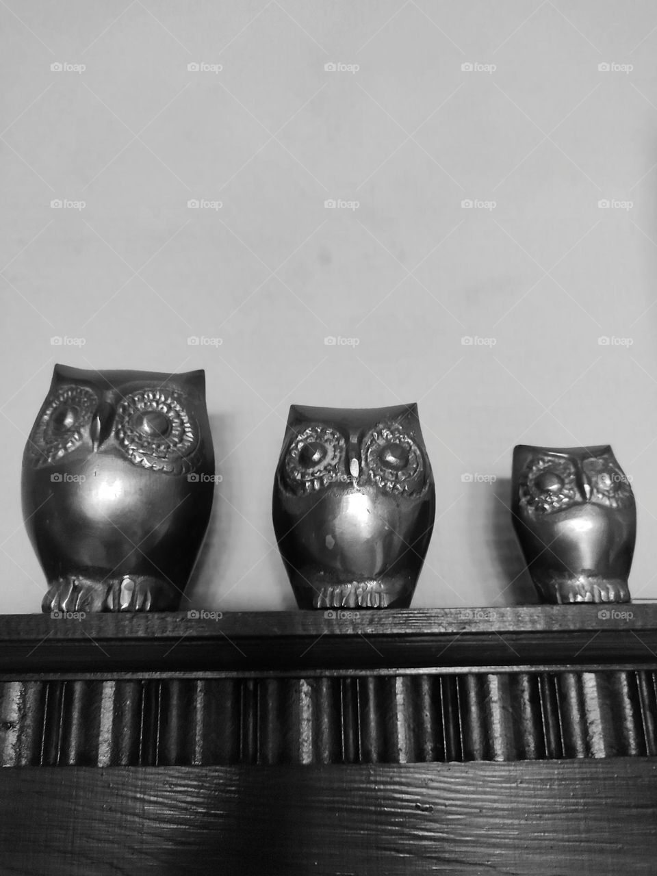 Owls