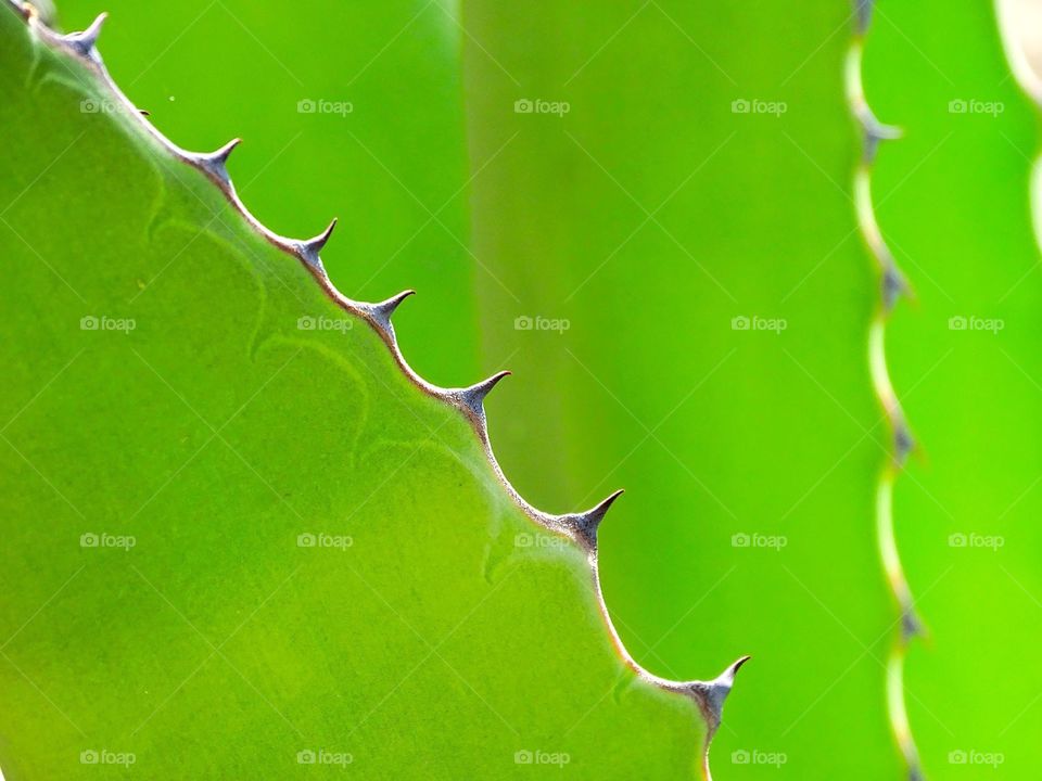 It all depends on how you look at it