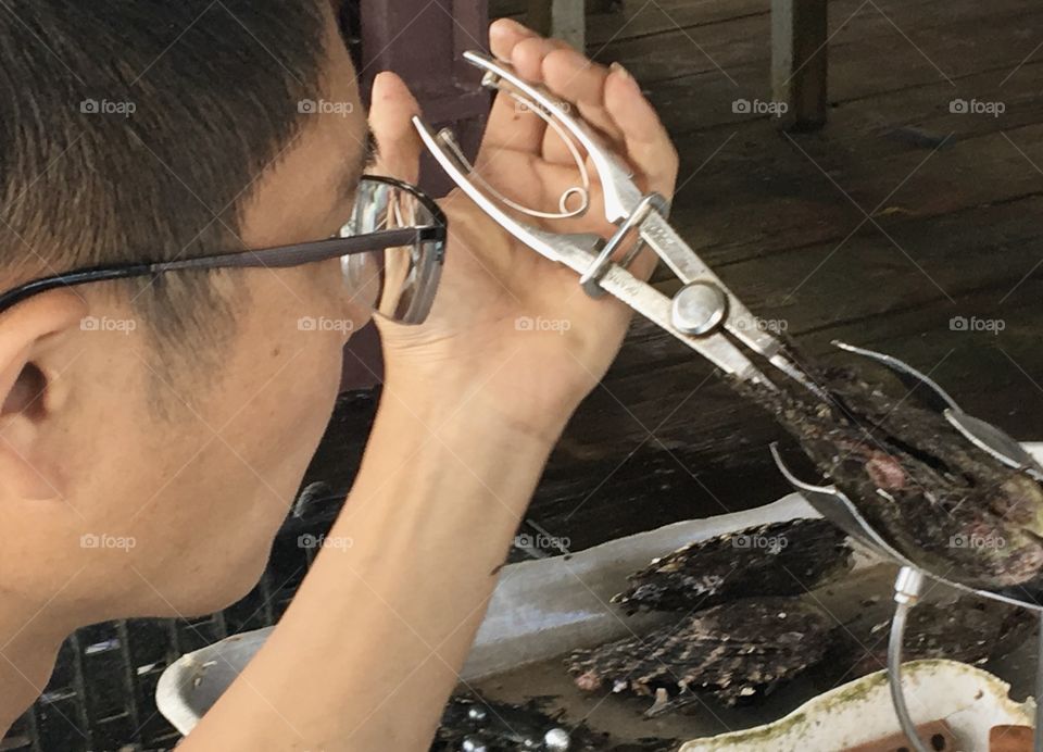 Focus on glasses : sight is important for grafting pearl oysters