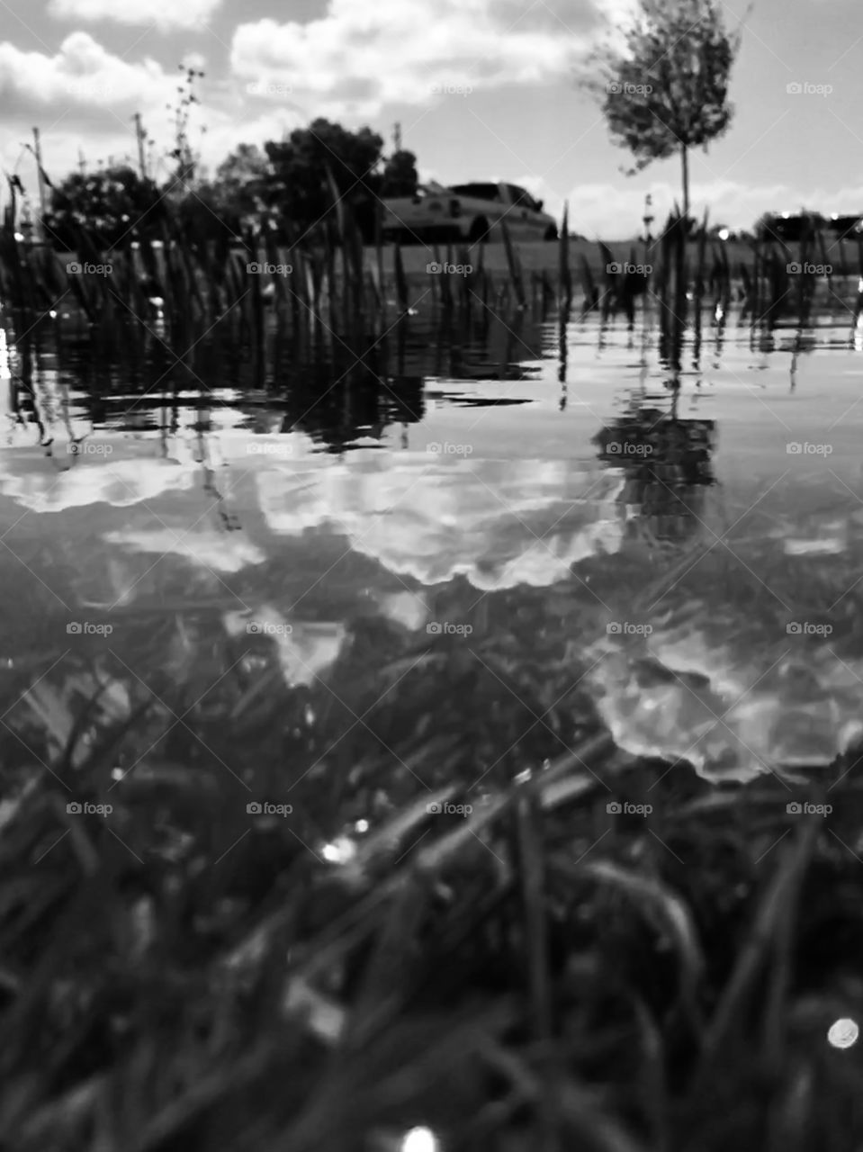 Reflection of clouds on the pond water 