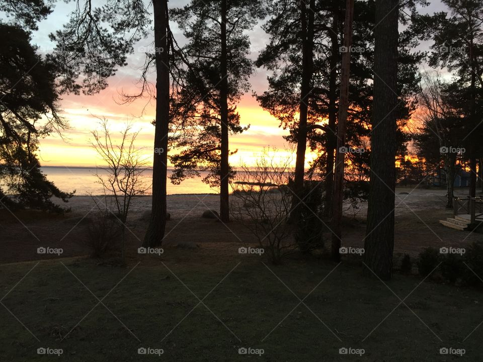 Sunrise in December 
