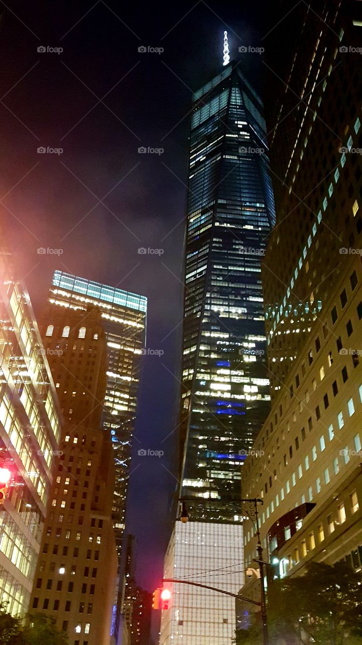 One World Trade Center majestic at night