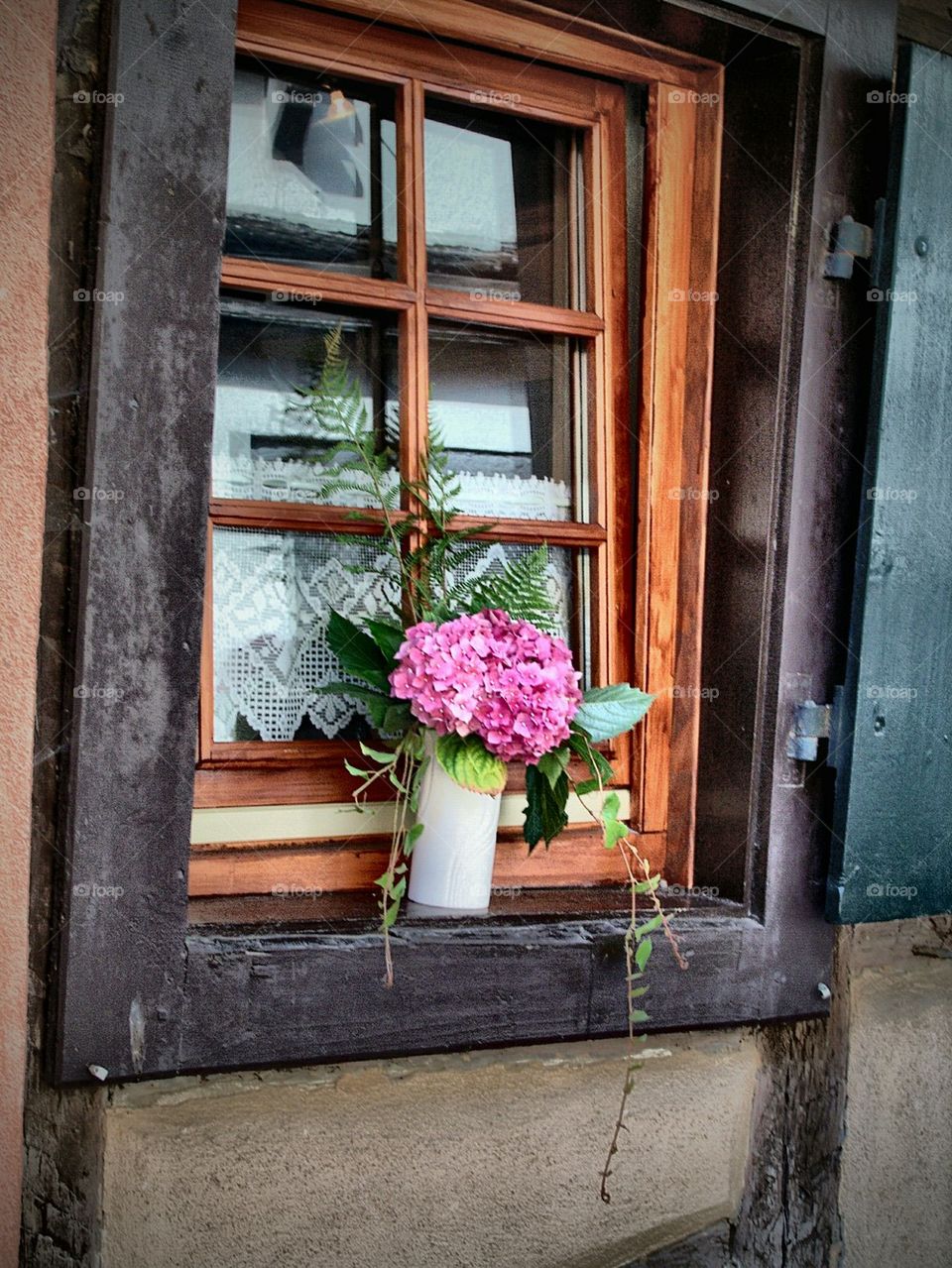 pink flowers