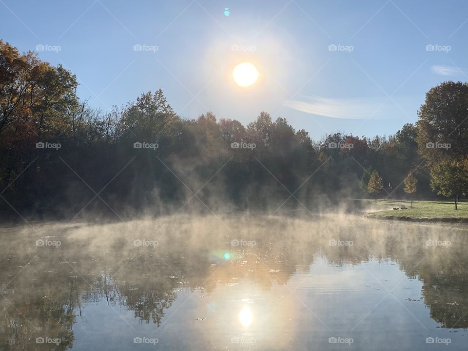The mist rising from the pond at a local park. Lots of light, some shadows, a touch of green, and the pond looks like it’s on fire.