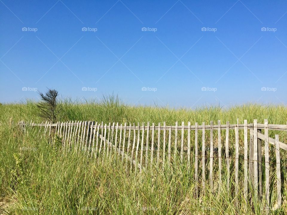 Nauset Beach fence