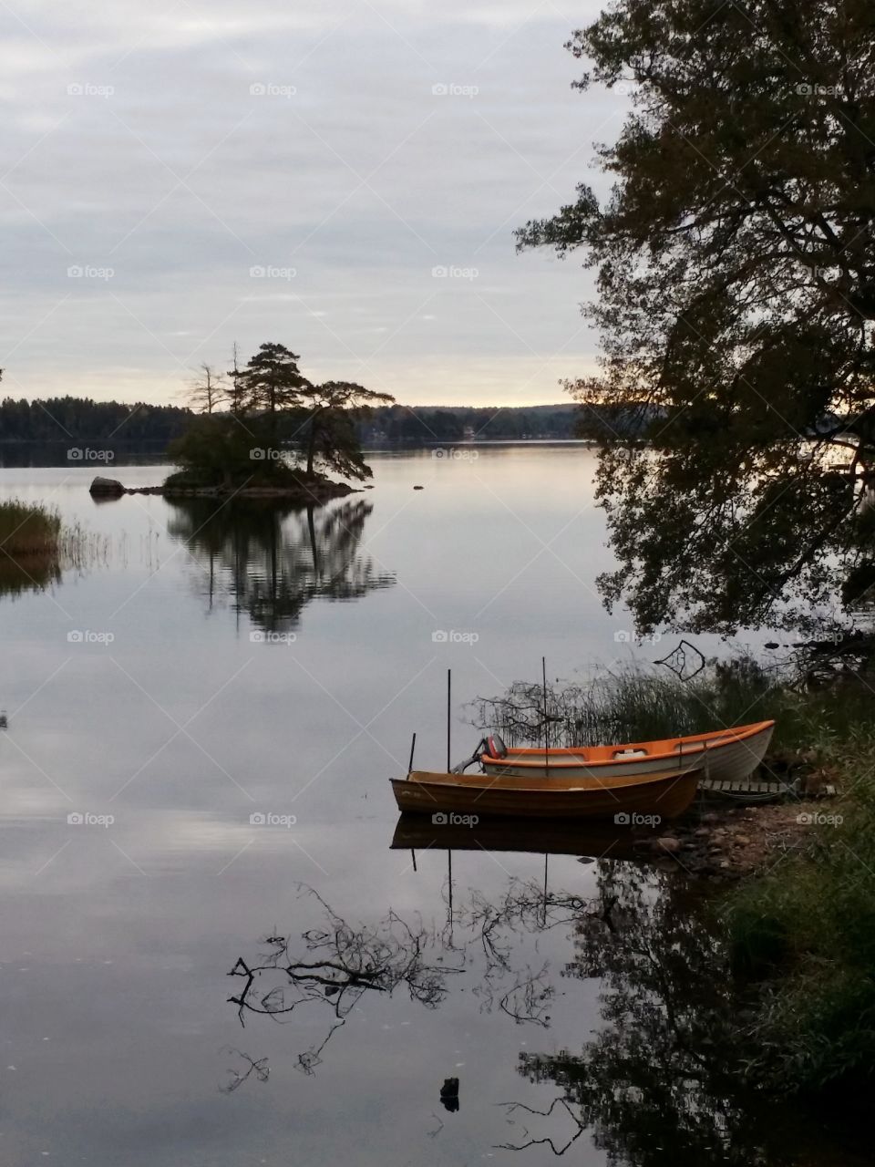 Summer evening view by the lake