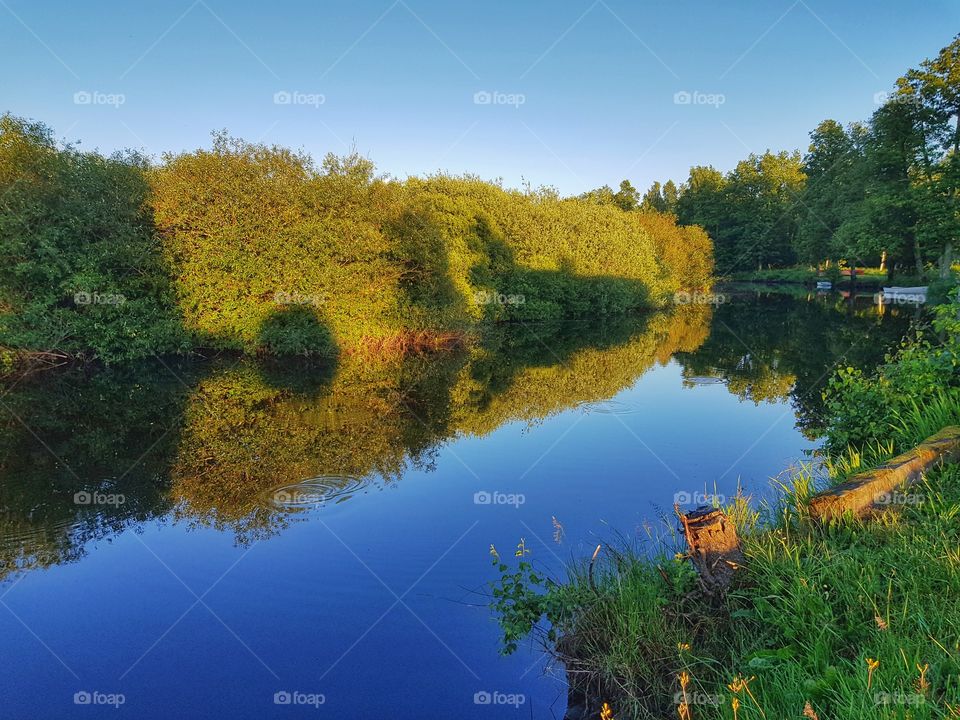 summer lake view