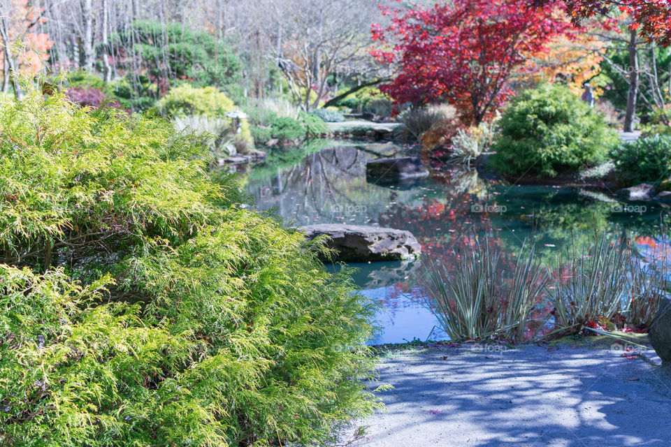 Japanese Garden