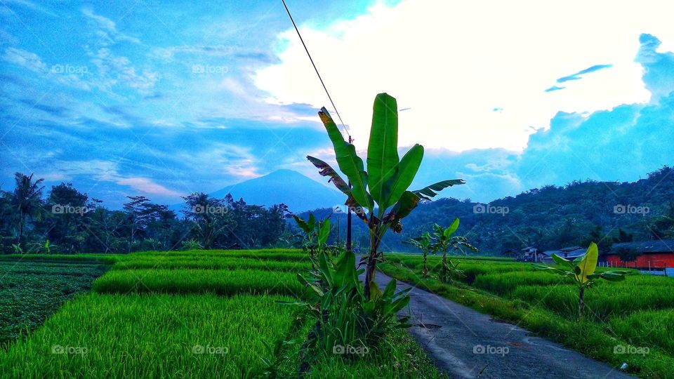 Nice view of the peswahan and surroundings