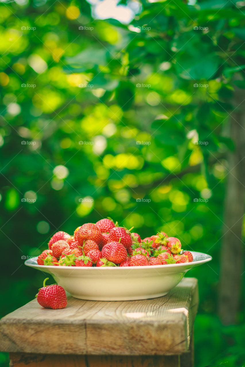Strawberries in plate at garden bench