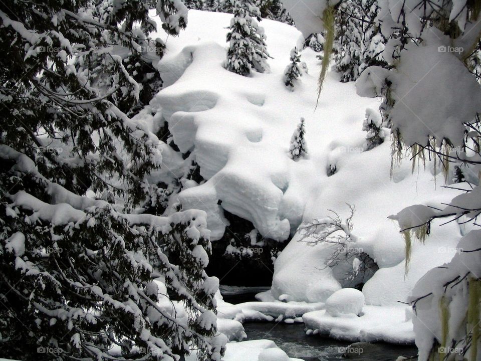 Snowy River in Winter