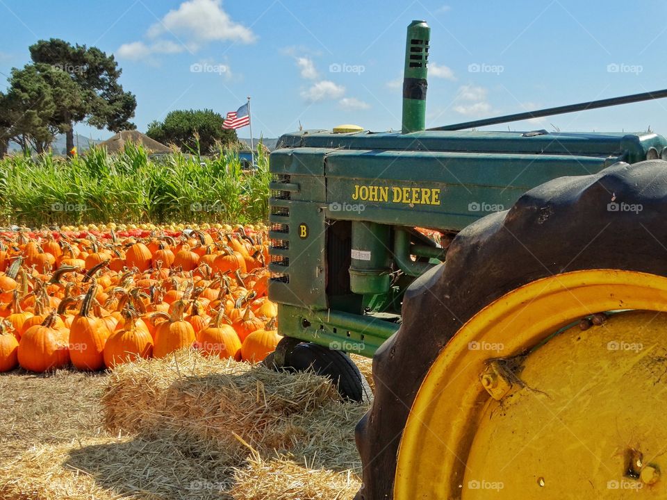 John Deere Tractor. Green Tractor On An American Pumpkin Farm In October