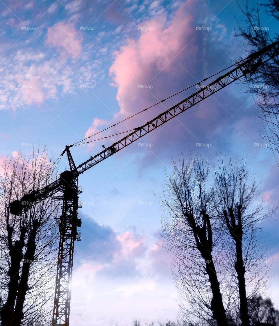 Higher and higher!..
И вот они взмывают ввысь, все выше и выше!..