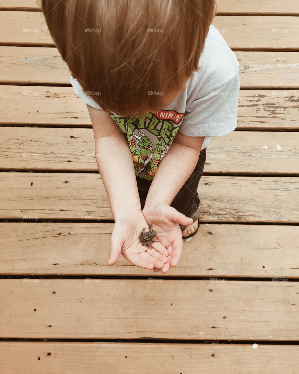 Child holding frog