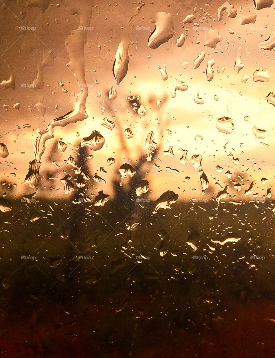 Golden hour and some rain