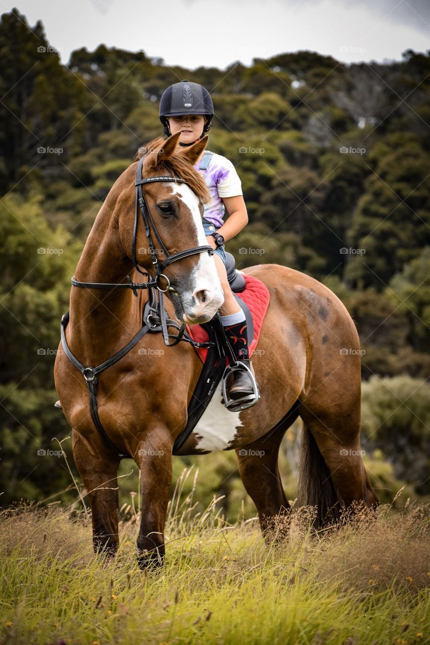 This is Shelby and her horse Apache. Lucky Shelby got to have a photoshoot for one of her Christmas presents. These 2 are such a sweet and photogenic pair. Apache is a very “majestic” horse you could say. And isn’t Shelby just the cutest☺️