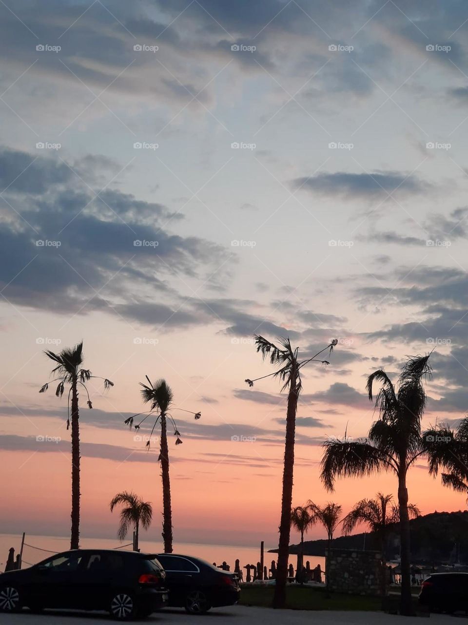 view of palm trees against the red sky