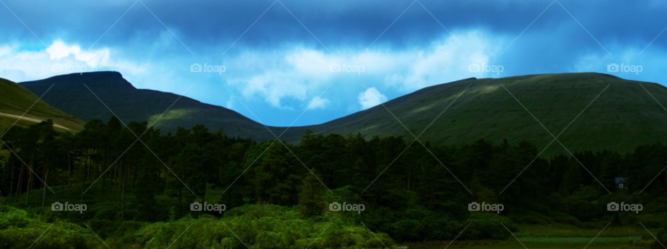 sky green trees peak by bradman