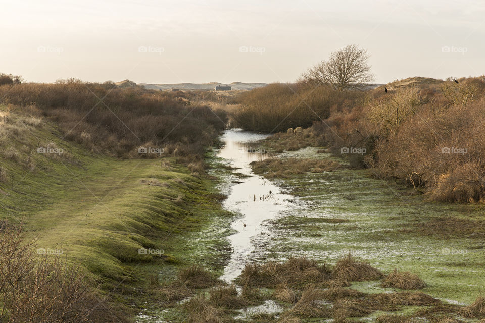 River in the Dutch dunes