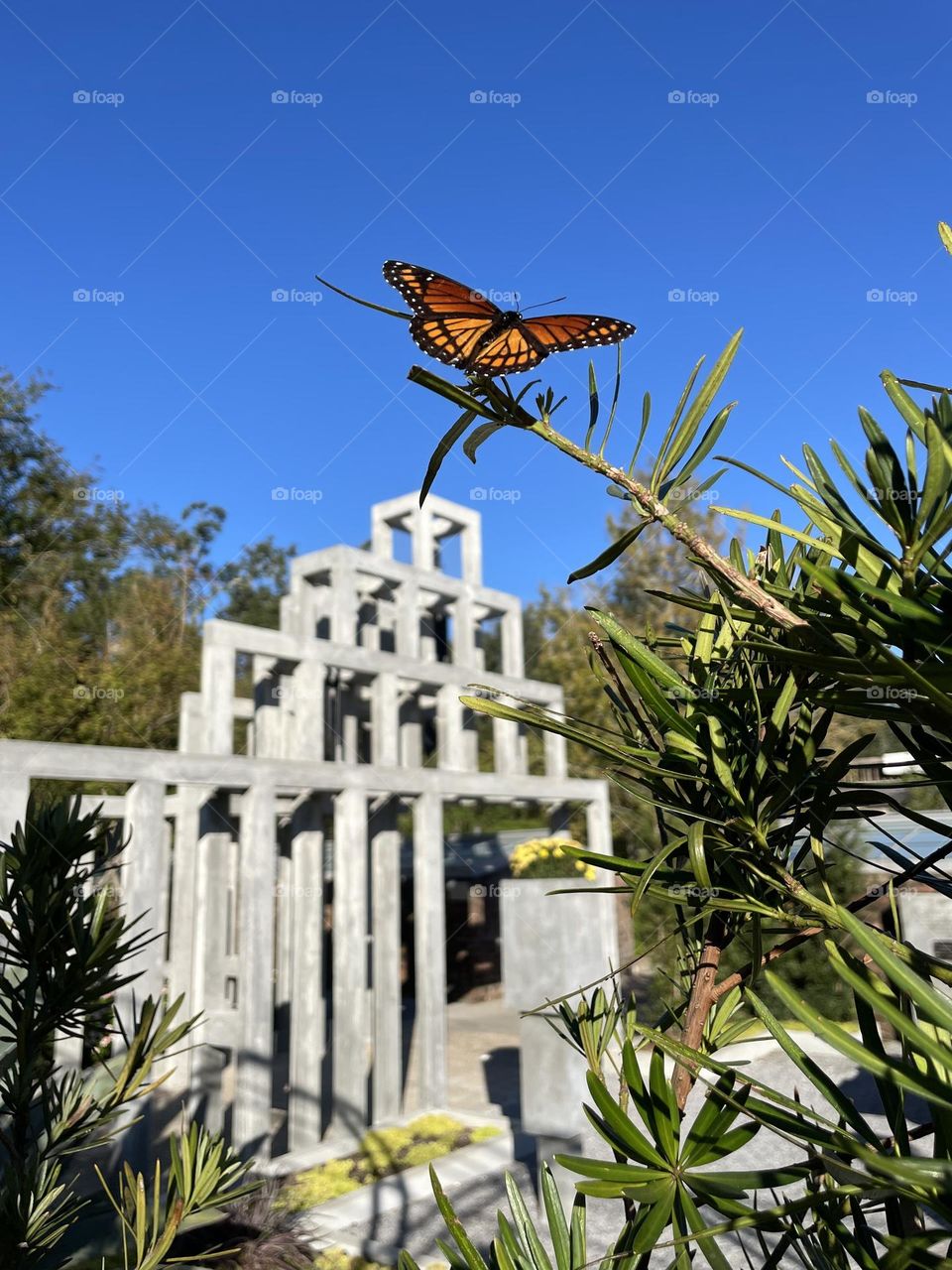 butterfly in the botanical garden in new orleans, statue 