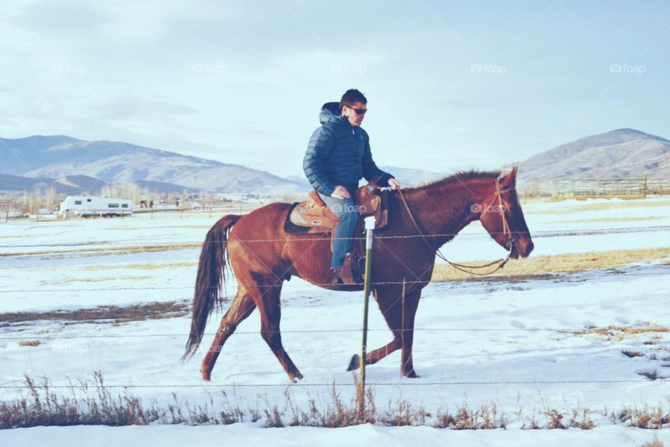 Riding horse in snow 