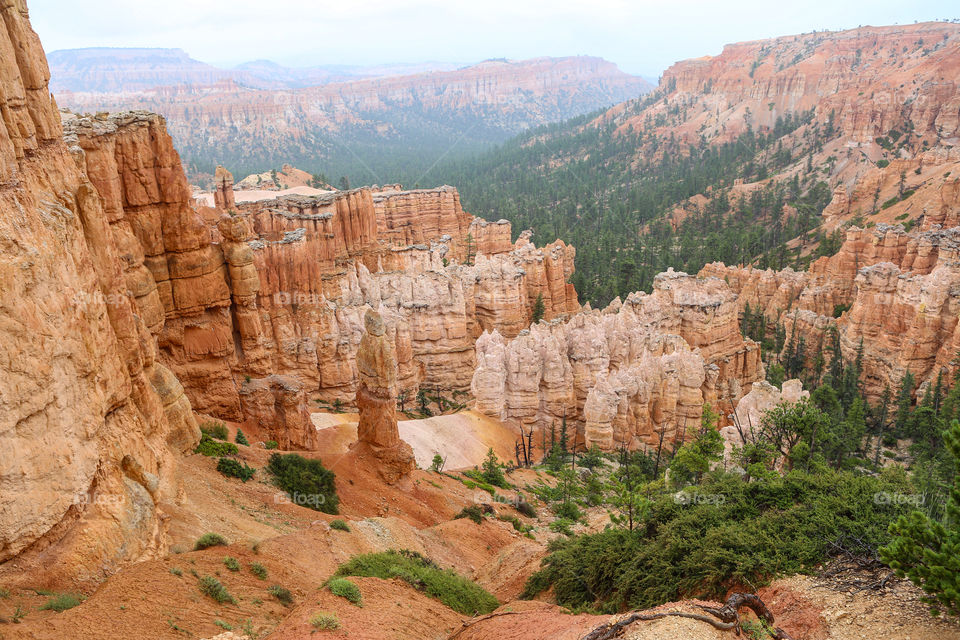 Bryce Canyon 