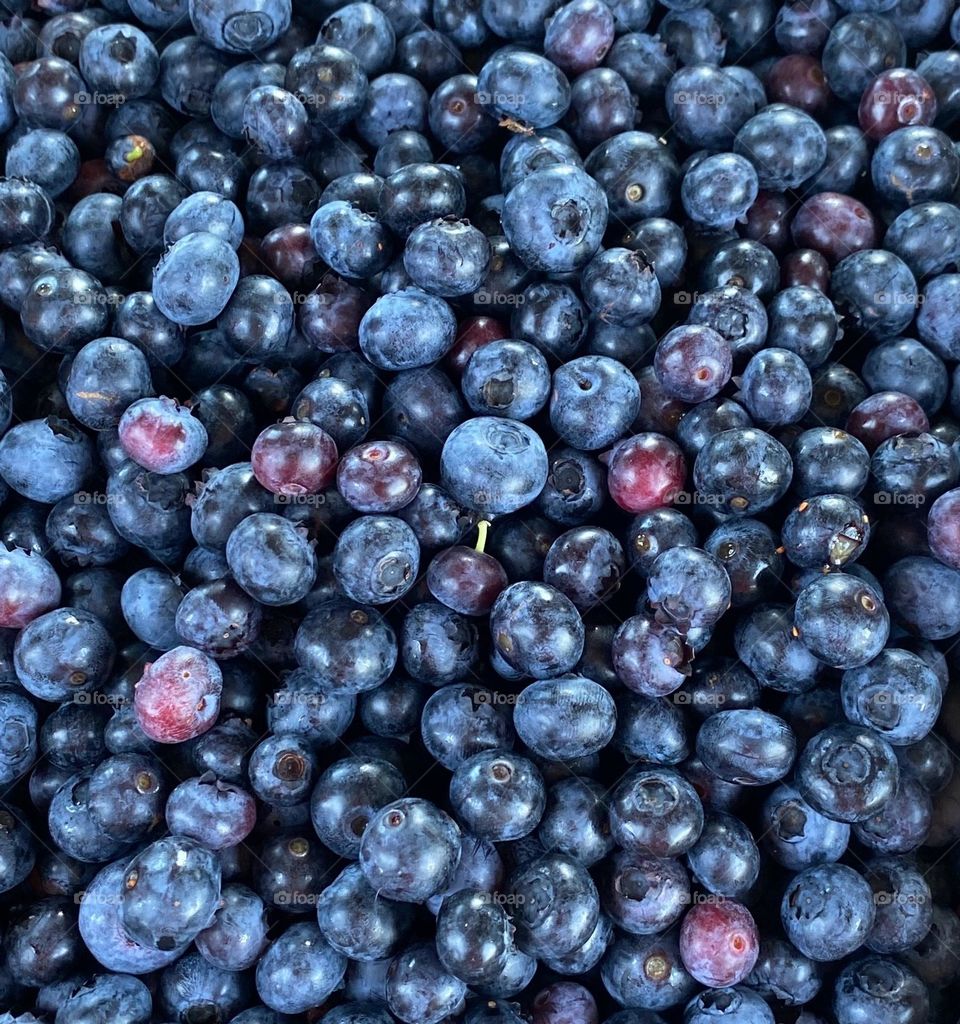 This image displays a large collection of harvested blueberries, with varying shades of blue and a few with hints of red, indicating some are slightly underripe. The berries look fresh and ready for consumption.