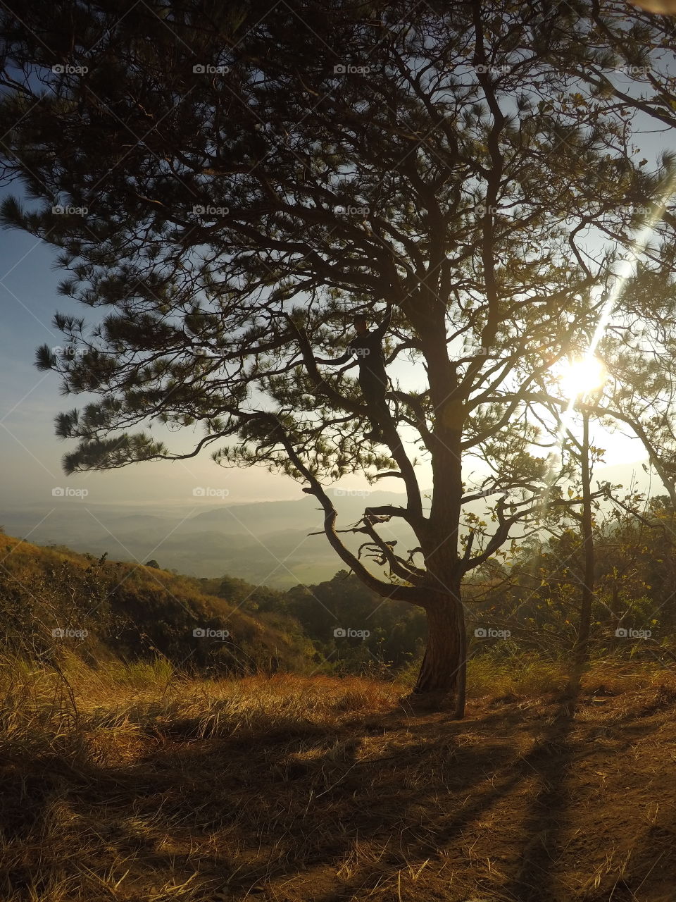 A beautiful morning hike.