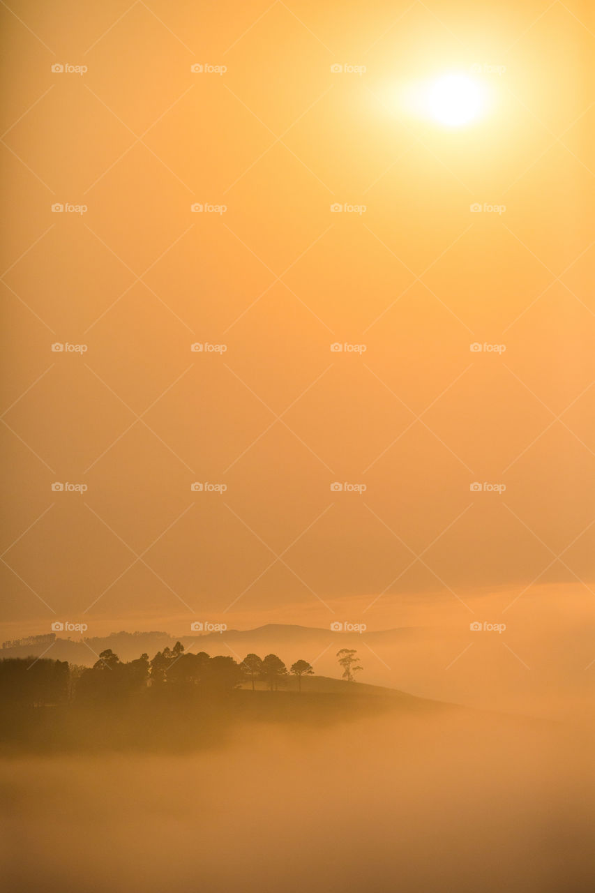 Mist and fog on a winter's morning. sunrise with the yellow and orange lights through the mist. Dreamy beautiful landscape in Africa.