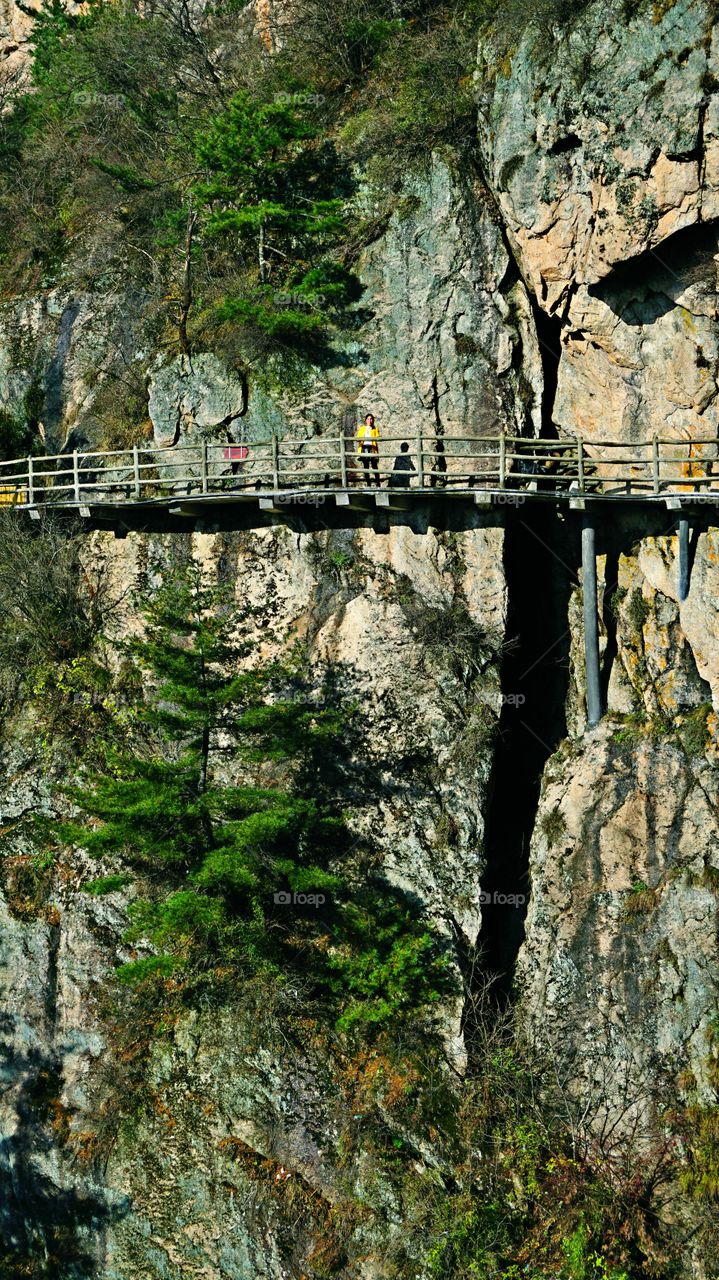 Nature, Wood, Tree, Rock, Travel