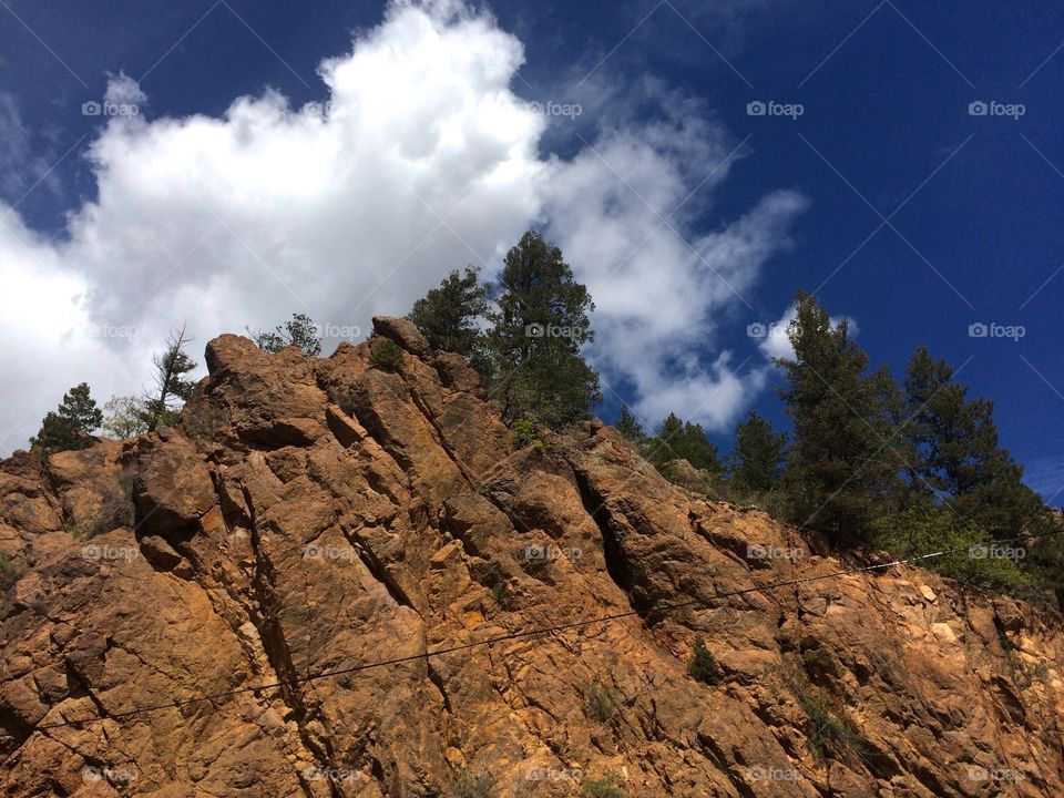 Colorado trail. Rocks and trees on a Colorado hiking trail