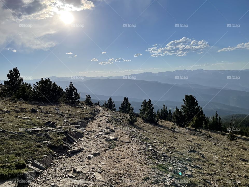 Hiking trail through the pine trees with distant mountains and blue skies 