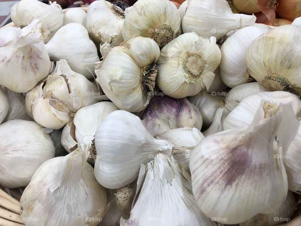 Garlic