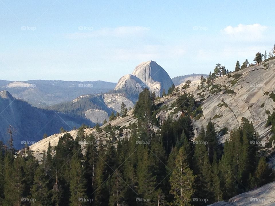 View of Half Dome from Tioga . View of Half Dome from Tioga Pass
